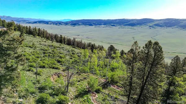 4924 Middle Fork VIS, Fairplay, CO 80440