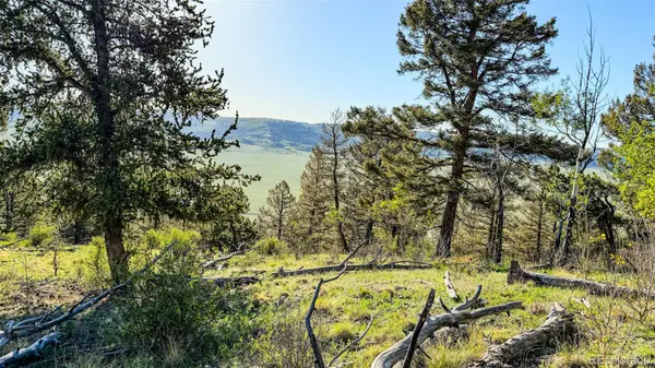 4924 Middle Fork VIS, Fairplay, CO 80440