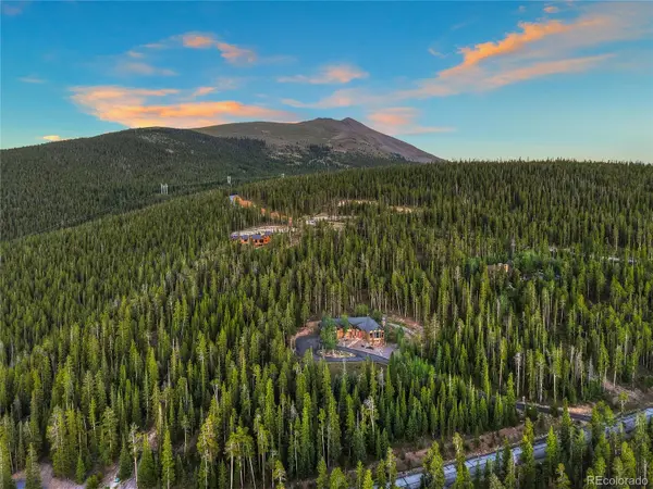 264 Little Sallie Barber TRL, Breckenridge, CO 80424