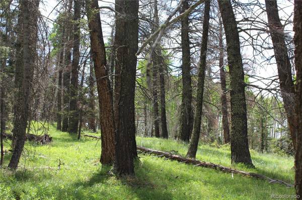 1650 Spruce RD, Cimarron, CO 81220