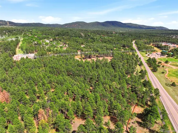 205 Sourdough RD, Woodland Park, CO 80863