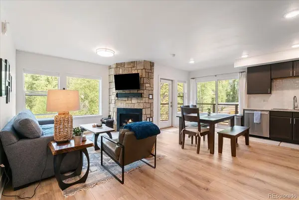 1044 Blue River Pkwy #C207, Silverthorne, CO 80498