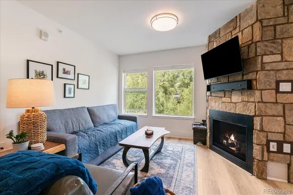 1044 Blue River Pkwy #C207, Silverthorne, CO 80498