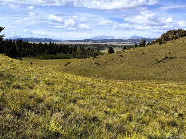 8390 Chickasaw RD, Hartsel, CO 80449
