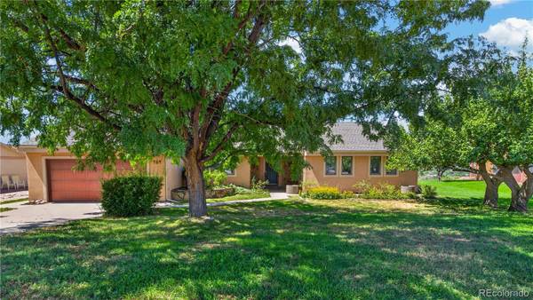 259 Willow Creek TRL, Parachute, CO 81635