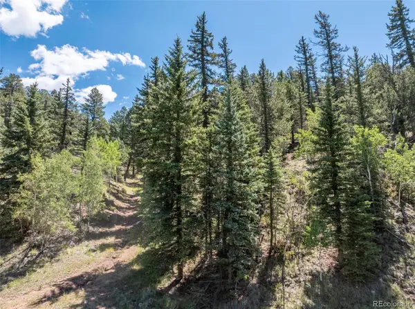 1676 Pathfinder RD, Florissant, CO 80816
