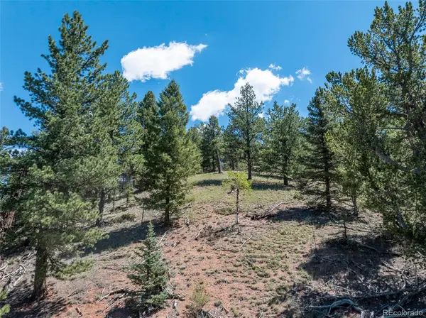 1676 Pathfinder RD, Florissant, CO 80816