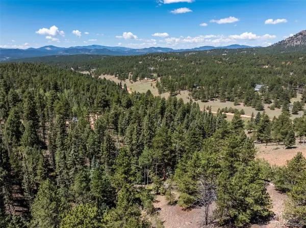 1676 Pathfinder RD, Florissant, CO 80816