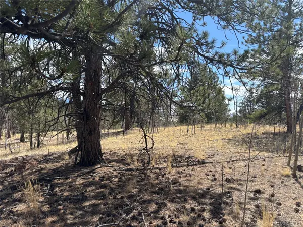 147 Bordenville RD, Jefferson, CO 80456