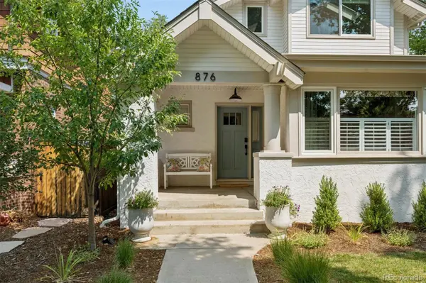 876 S Race ST, Denver, CO 80209