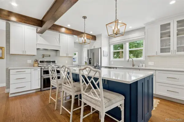 876 S Race ST, Denver, CO 80209