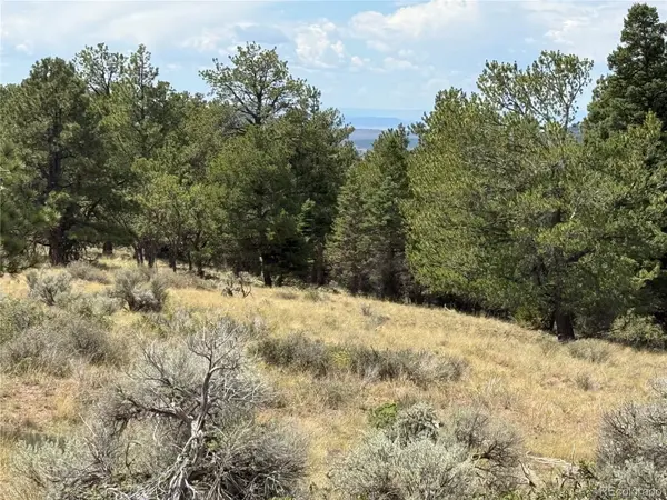 Lot 291 Kline LN, Fort Garland, CO 81133
