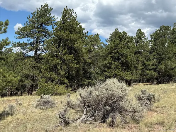 Lot 291 Kline LN, Fort Garland, CO 81133