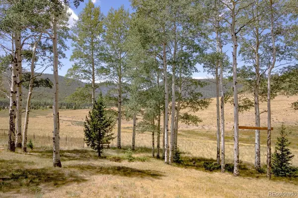 2842 Wendt LN, Fort Garland, CO 81133