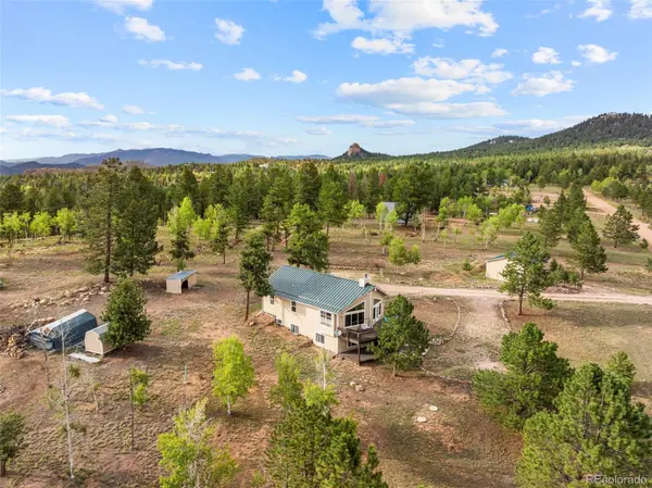 55 Crystal Peak DR, Lake George, CO 80827