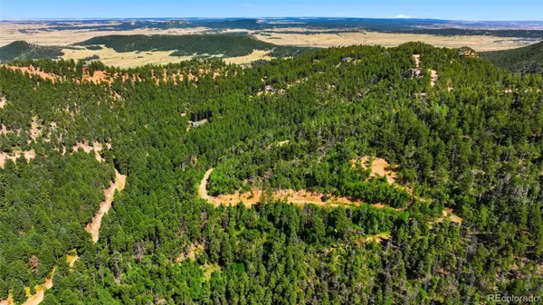 13488 S Firedog WAY, Larkspur, CO 80118
