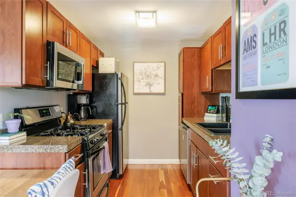 1332 N Williams ST #202, Denver, CO 80218
