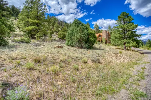 1139 Rio Grande Club TRL, South Fork, CO 81154