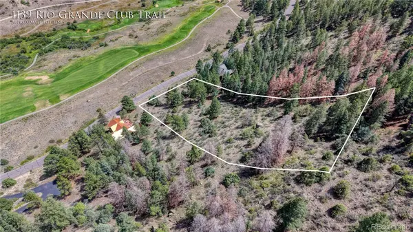 1139 Rio Grande Club TRL, South Fork, CO 81154
