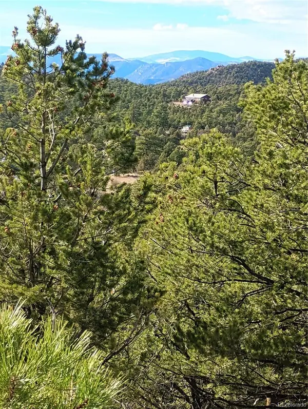 1105 Owens LN, Cotopaxi, CO 81223