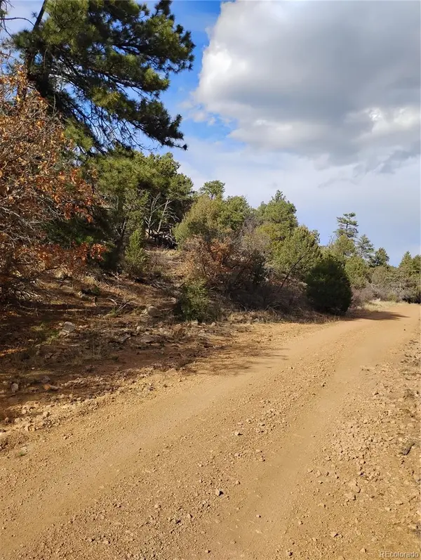 1105 Owens LN, Cotopaxi, CO 81223