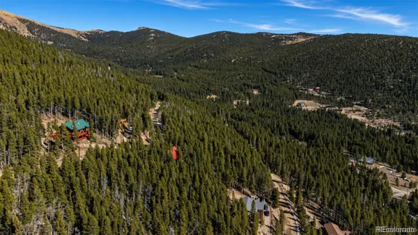 230 Harris DR, Idaho Springs, CO 80452