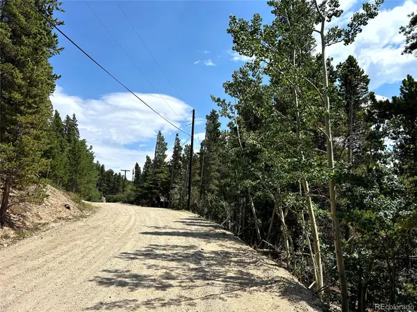 230 Harris DR, Idaho Springs, CO 80452