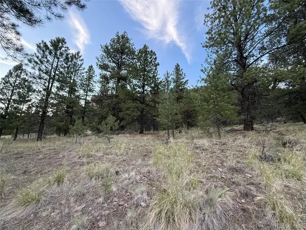 2 Beaver TRL, Antonito, CO 81120