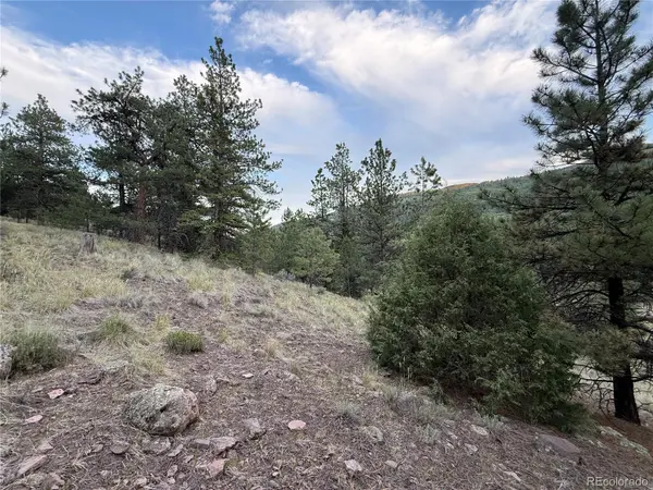 2 Beaver TRL, Antonito, CO 81120