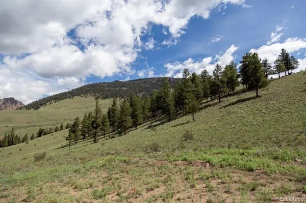 780 Cliff View DR, Creede, CO 81130