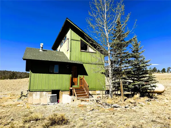 444 Lancelot LN, Hartsel, CO 80449