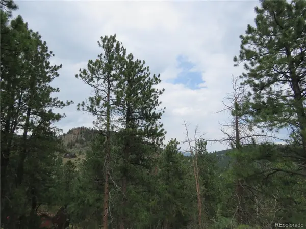 1899 Roland DR, Bailey, CO 80421