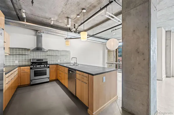 1610 Little Raven ST #507, Denver, CO 80202