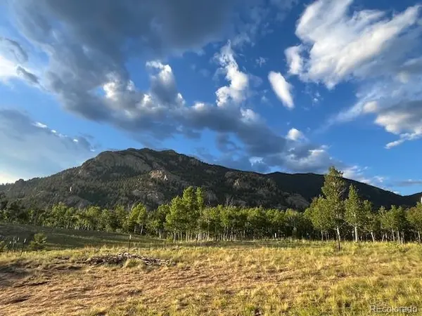 206 Emerald WAY, Lake George, CO 80827