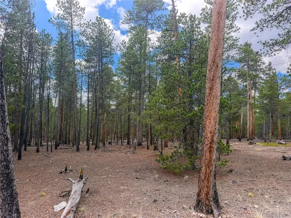 569 Birch DR, Leadville, CO 80461