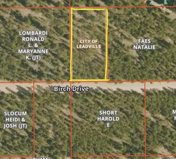 569 Birch DR, Leadville, CO 80461