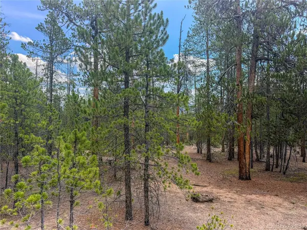 569 Birch DR, Leadville, CO 80461