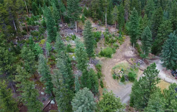 256 Capital Road, Dumont, CO 80436