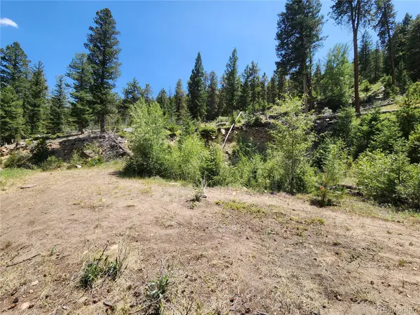 256 Capital Road, Dumont, CO 80436