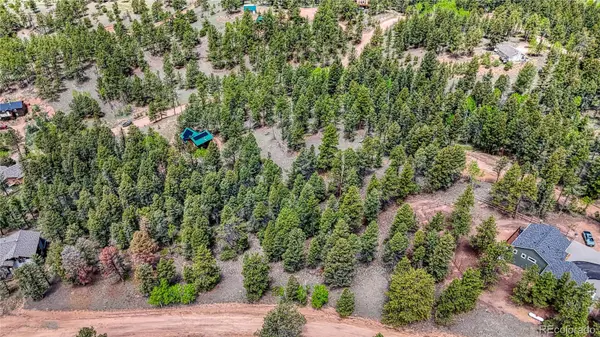 26 N Eldorado CIR, Florissant, CO 80816