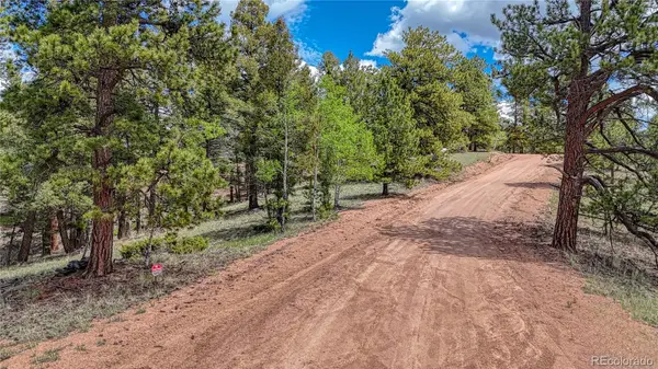 26 N Eldorado CIR, Florissant, CO 80816