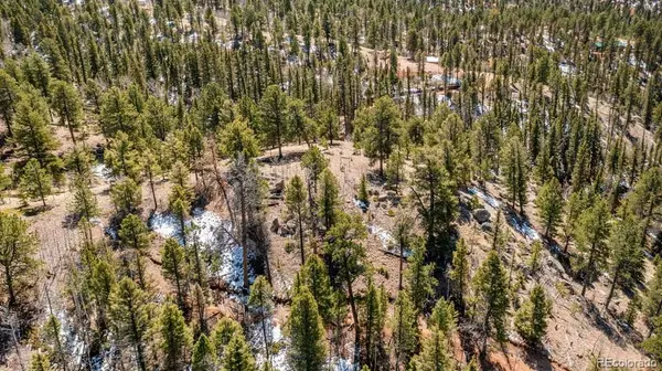 196 Beaver Creek CIR, Florissant, CO 80816