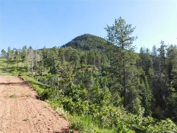 5425 Cheyenne DR, Larkspur, CO 80118