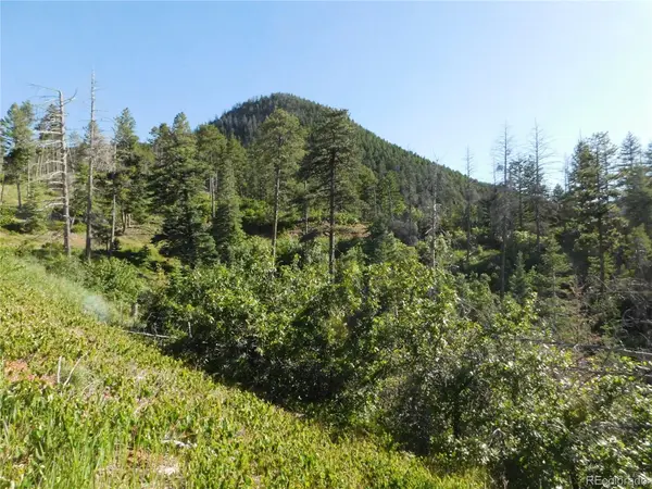 5425 Cheyenne DR, Larkspur, CO 80118