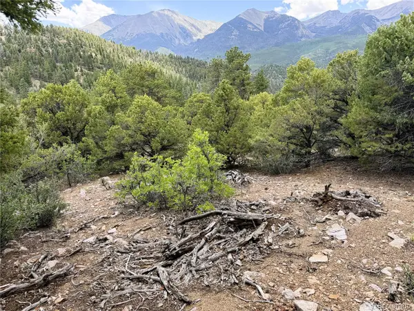 Lot 54 Knotty Pine RD, Howard, CO 81233