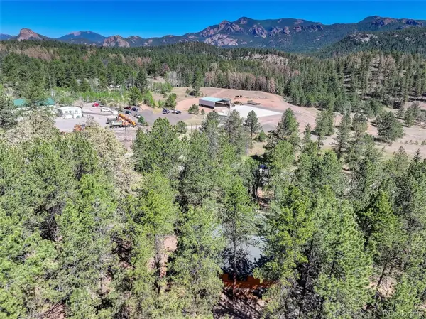 13019 S Parker AVE, Pine, CO 80470