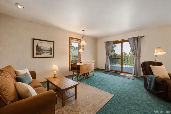 4360 Green Mountain DR, Livermore, CO 80536