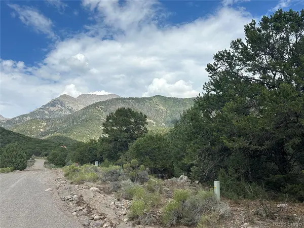 3530 Camino Del Rey, Crestone, CO 81131