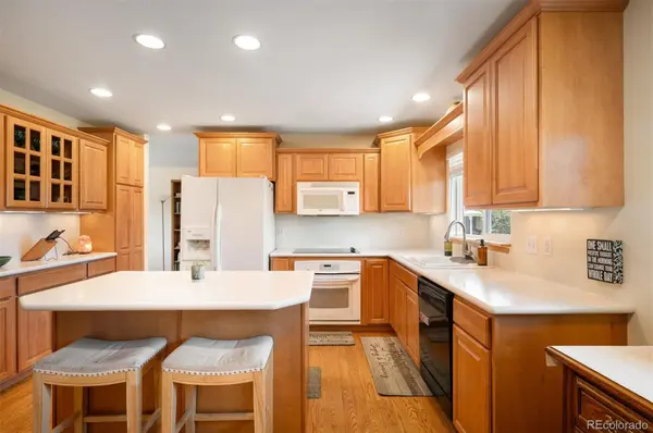 2220 S Beech CT, Denver, CO 80228