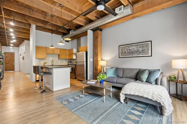 2960 Inca ST #219, Denver, CO 80202